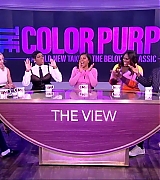 2023-TheView-308.jpg